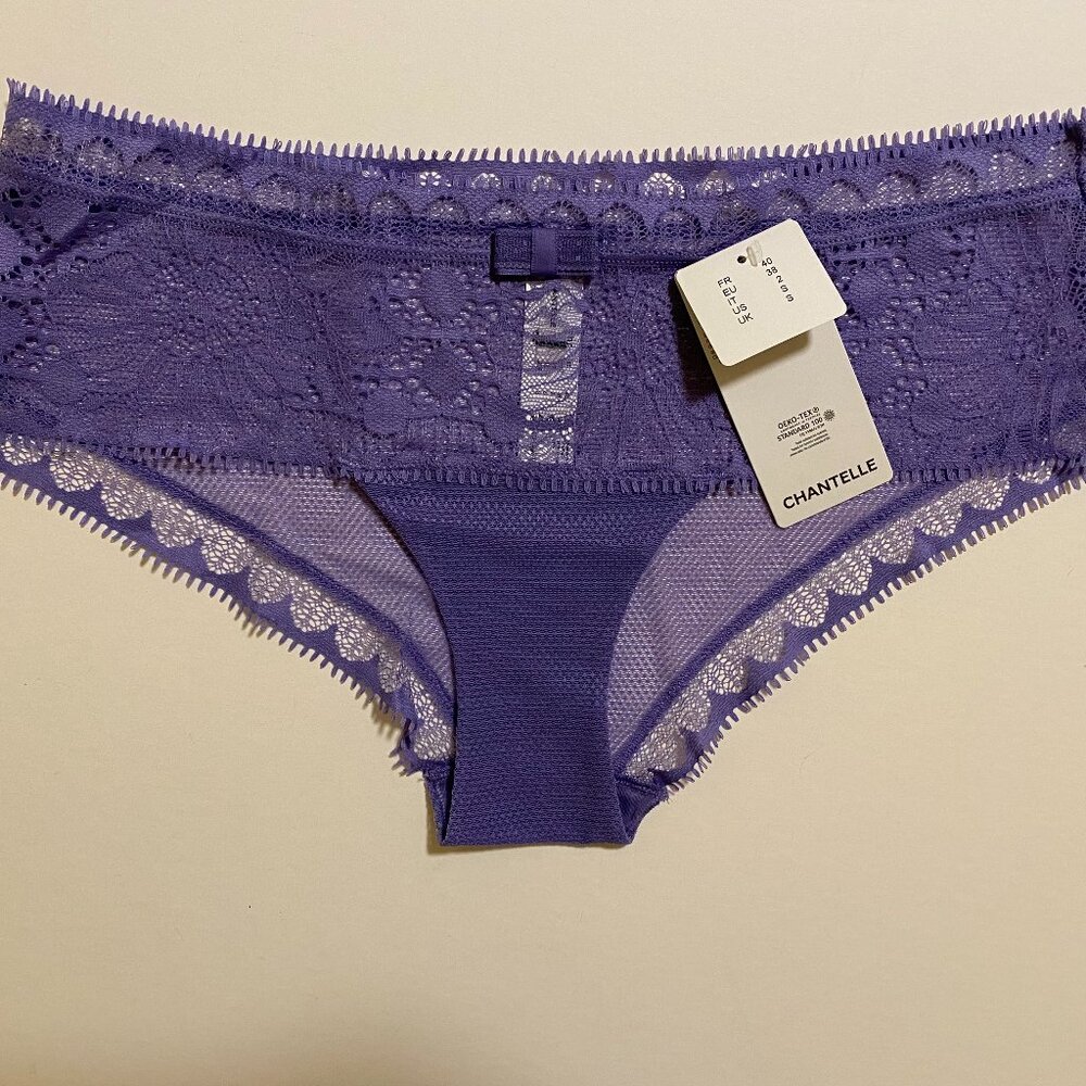 Chantelle Day to Night Lace Hipster - Dusky Lavender NWT